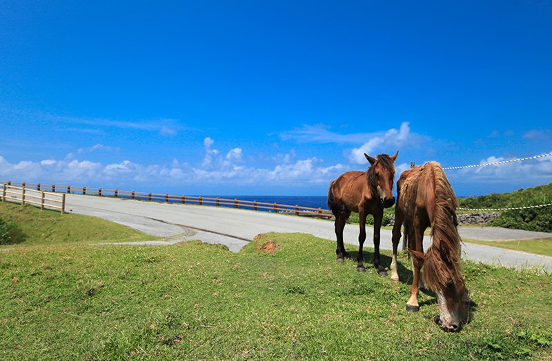 移住する前に不安だったこと